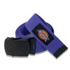 Dickies Nylon GI Belt (Purple), purple
