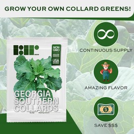 1000+ Georgia Southern Collard Greens Seeds for Planting - Heirloom, Non-GMO, USA Grown