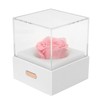 Rose Night Light Romantic Small USB Charging Soft Brightness Decoration