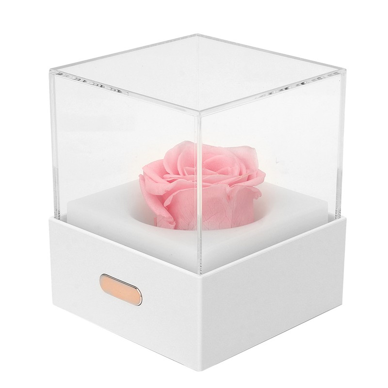 Rose Night Light Romantic Small USB Charging Soft Brightness Decoration