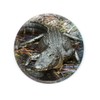 Magnidome - Deluxebase Crocodile Alligator Fridge Magnet Crystal Glass Fridge