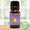 Bandit™ Essential Oil Blend • 100% Pure & Natural (1)