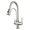 WANFAN Kitchen Sink Faucet with Pull Down Sprayer 2 Handle