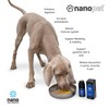 NanoPet with CleanCurcumin (TM) - Support Your Pet with Nourishing