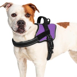 rabbitgoo Dog Harness for Large Dogs, No Pull No Choke Pet Vest, Easy Wearing with One Buckle, Reflective, Adjustable Pet Harness with Molle for Walking, Training, Purple, L