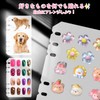 Hueapion PP Sheets, 6 Holes, A6 Dedicated Backing Paper, Refill