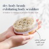 Cepillo Corporal Exfoliante Cuerpo Piel Circulacion