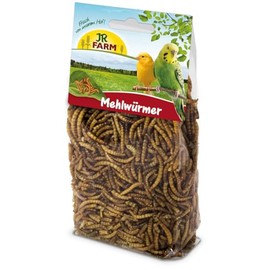 JR FARM Birds Mealworms 25g