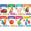 Doman Method Russian Flashcard Book Set for Learning Set -