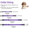 Erbine Martingale Collar for Dogs with Quick Release Buckle, Reflective