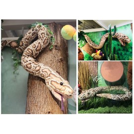Tikwisdom 170CM High simulation Super long Brown python Soft Plush Toys, Large Stuffed Animals Hand puppet toy (big hand and small hand are suitable)
