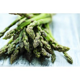 Mary Washington Asparagus Seeds, 125 Heirloom Seeds Per Packet, Non GMO Seeds