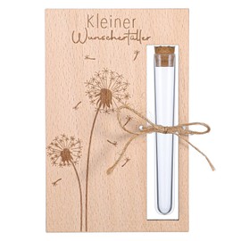 JIEYAO Money Gifts Birthday Money Gift Packaging Wooden Wish Filler Dandelion Funny Wedding Gift with Test Tubes Twine for Wedding Bride and Groom Travel