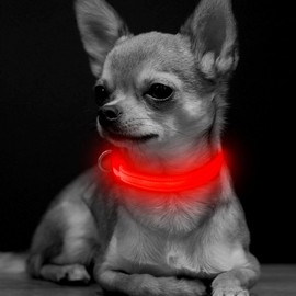 BSEEN LED Small Dog Collar - Adjustable USB Rechargeable Glowing Led Puppy Collar, Light Up Pet Collars for Small Dogs& Cats (Red, XS)