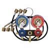 Mastercool 93524-TP Aluminum Charging Manifold with 24" Hoses R600a R290
