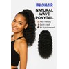 ALOHA!ʳ Natural Wave Drawstring Ponytail – Curly Hair Extension for