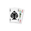 NTP 00029 Poker Long Life Playing Cards, Blue