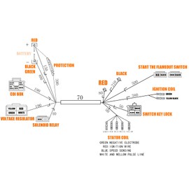Wiring Harness Ignition Coil CDI Box Loom Harness Spark Plug Kits for Chinese ATV 50-125cc Dirt Pit Bike Lifan 110cc Sunl 90cc ATV Electric Start Engine