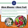 Jack's Classic 10-30-20 Blossom Booster Water-Soluble Fertilizer with Micronutrients for
