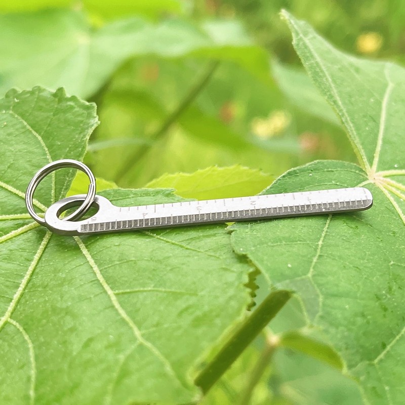 Titanium Ruler, Portable EDC Micro Ruler, Lightweight Keychain Small Ruler,
