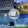Fairyland LED Spotlight with Plug, 10 W, 20 W, 30