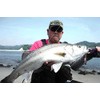Abu Garcia SSTS24G-PPIWS Iron Sta Lure, 0.9 oz (24 g)