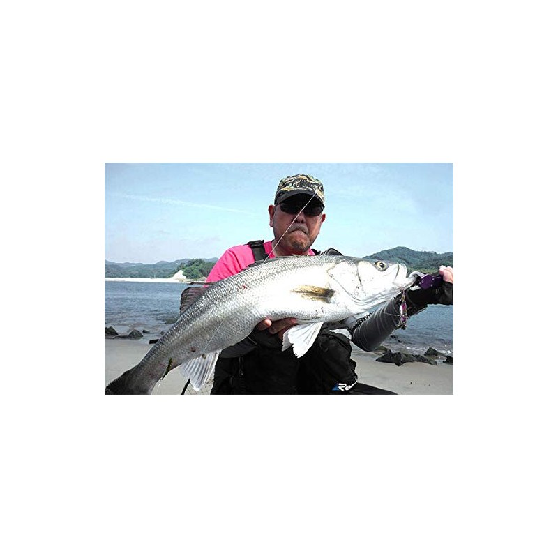 Abu Garcia SSTS24G-PPIWS Iron Sta Lure, 0.9 oz (24 g)