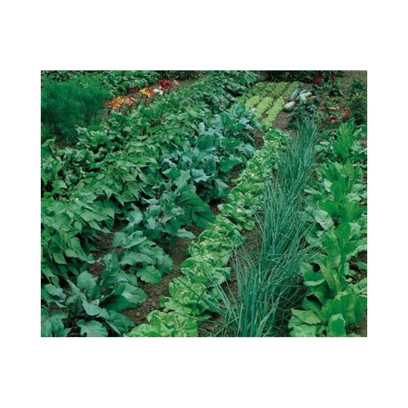Heavy Harvest PREFILLED Premium Compost Tea Bag LARGE 22" X