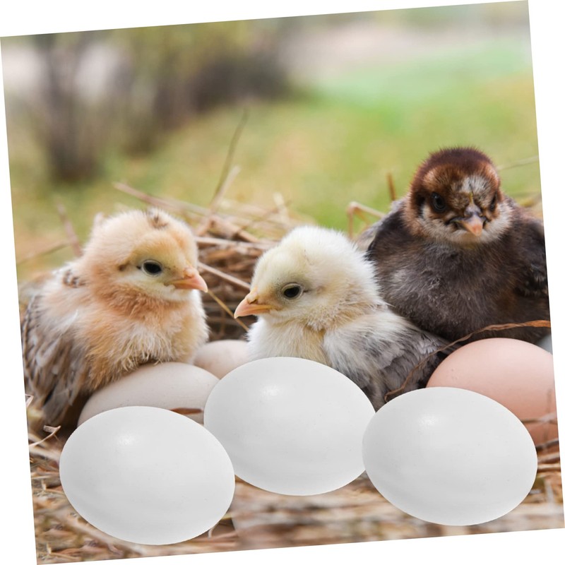 BESPORTBLE 10pcs Fake Eggs Budgie Eggs Replacement Cockatiel Eggs Mini