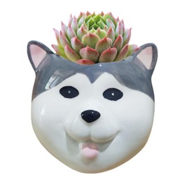 Cuteforyou Cute Cartoon Corgi Husky Pug Schnauzer Akita Dog Bulldog Shaped Succulent Cactus Plant Pots for Home Garden Office Desktop Decoration (Husky)