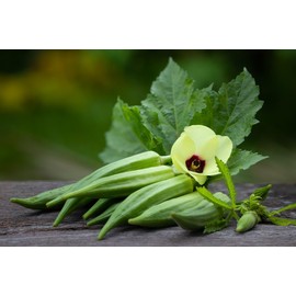 FUN AND GROW SEEDS: Seeds Louisiana Okra Green Velvet Ladies Fingers Ochro Vegetable Bamia Non GMO Heirloom