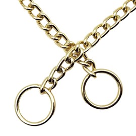 ChampWei Fancy Golden Dog Choke Collar Slip P Chain,Heavy Chain Dog Metal Training Choke Collars, Adjustable Weather Proof Alloy Steel Necklace for Small Medium Large Dogs (XS)