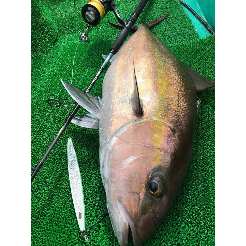 Nature Boys Wiggle Rider WR1300-11K Nakui Glow, 10.1 oz (300