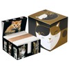 PrintCollect Notes Box "Cats" Made of Sturdy Glued Solid Cardboard,