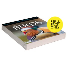 Audubon Birds Page-A-Day Gallery Calendar Refill Pack 2024