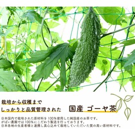 Gabai Farm Domestically Produced, Handmade Bitter Melon Tea, 0.07 oz (2 g) x 30 Packets, Bitter Melon Tea, Non-Caffeinated Health Tea, Tea Bag, Additive-Free