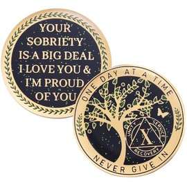 LParkin LParkin 24 Hours, 1/2 YearSobriety Chip, Tree of Life Recovery Coin, AA Recovery Medallion, Anniversary Token Sobriety Gifts, Alcoholics Anonymous Medallion (10 Years)