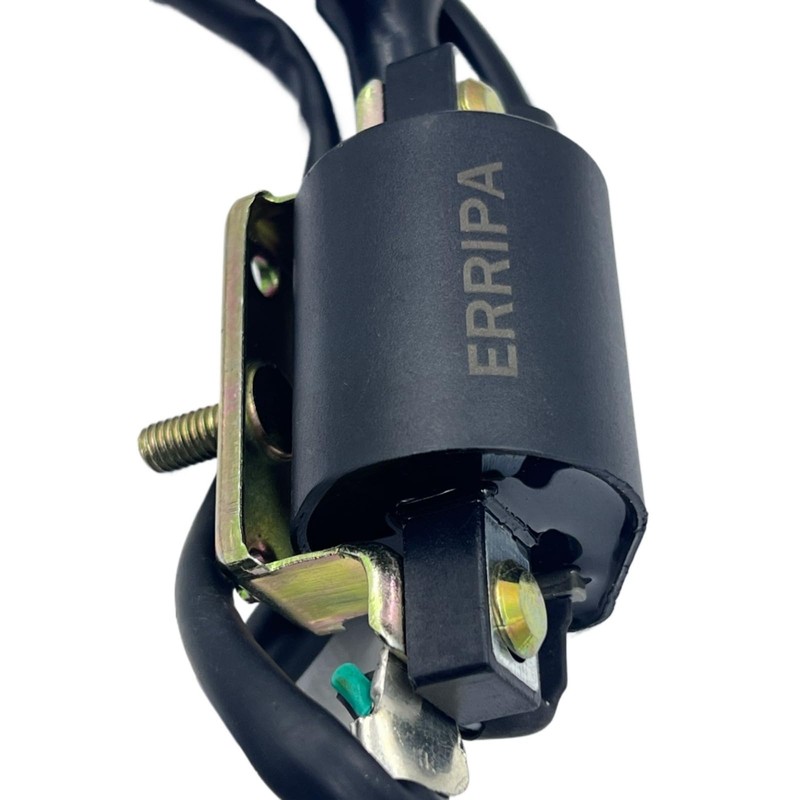 ERRIPA Ignition Coil 50cc 70cc 90cc 110cc 125cc ATV Apollo