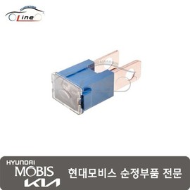 Hyundai Mobis Fuse Slow Blow (100A BOLT) 91823 22600 / 퓨즈 슬로우 블로우 (100A BOLT) 91823 22600