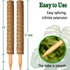 2 Pack 17 Inch Moss Pole, Stackable Moss Poles for