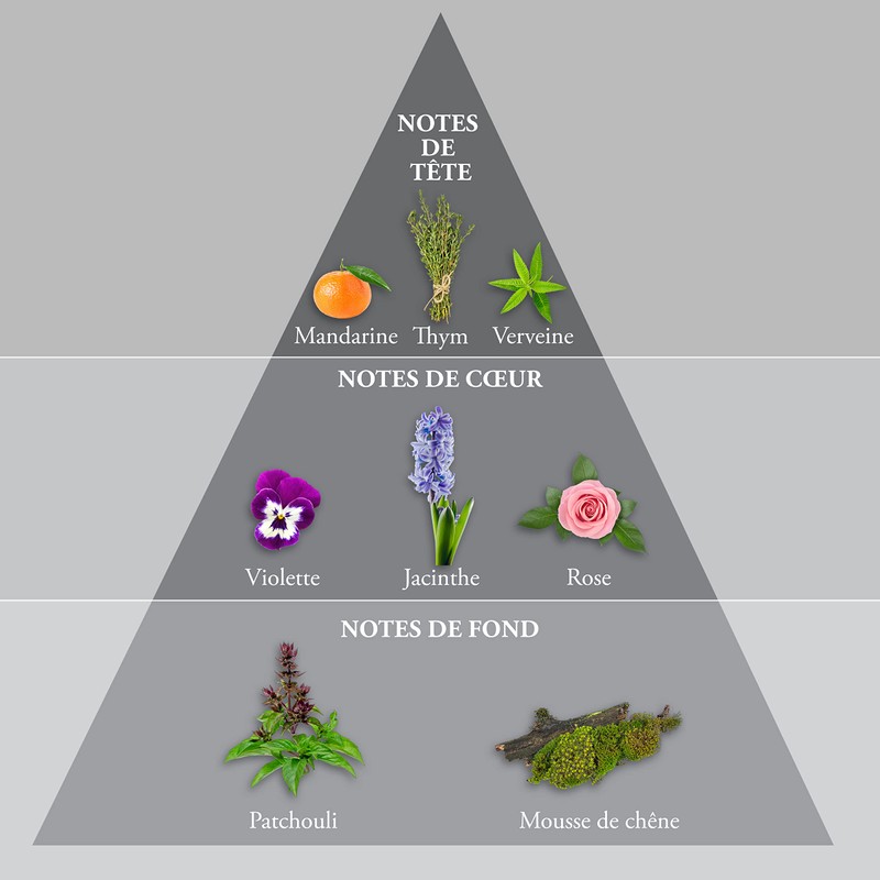 EVAFLORPARIS WHISKY SILVER Eau de Toilette for Men – Magnetic