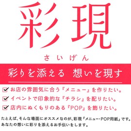 PCM Takeo 1742032 Printer Paper, Saiken, Menu and Pop, A4 Shin-Dan, Snow