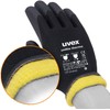 Uvex Unilite Thermo Plus Unisex 9 Winter Gloves, Black