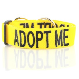 5 FOR THE PRICE OF 3 - ADOPT ME (I Need A New Home) Yellow Colour Coded Wide L-XL Semi-Check Martingale Dog Collars. Donate To Your Local Charity