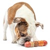 GURU Pet: Multi-Flavor Stick - Medium - Spinning Dog Chew