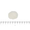Canina Cellulose Powder Mix 400 g
