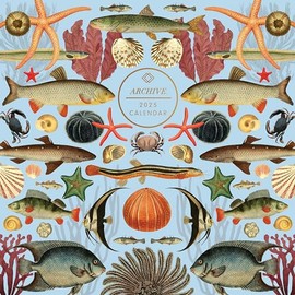 2025 Archive Oceans Sealife Square Wall Calendar