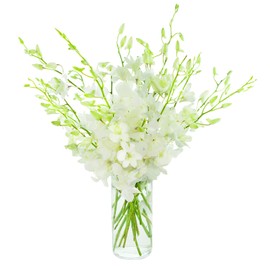 Kabloom PRIME OVERNIGHT DELIVERY - "National" Collection Exotic Perla White Orchid Bouquet of 20 Fresh White Dendrobium Orchids with Vase