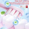 Pack of 2 Sp-4 Toothpaste, Sp-4 Probiotic Toothpaste, Whitening Toothpaste,