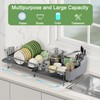 ROTTOGOON Expandable Dish Drying Rack,Multifunctional Adjustable Dish Drainer with Swivel